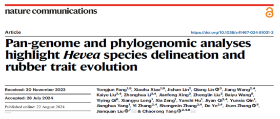中国热科院在橡胶树种质遗传多样性和产胶进化研究上取得重要进展(图1)