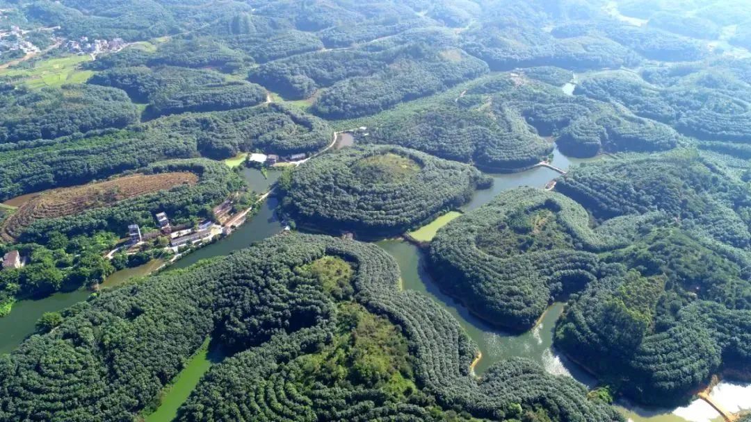 全国人大代表郑杰：加快国产特种天然橡胶生产应用(图4)