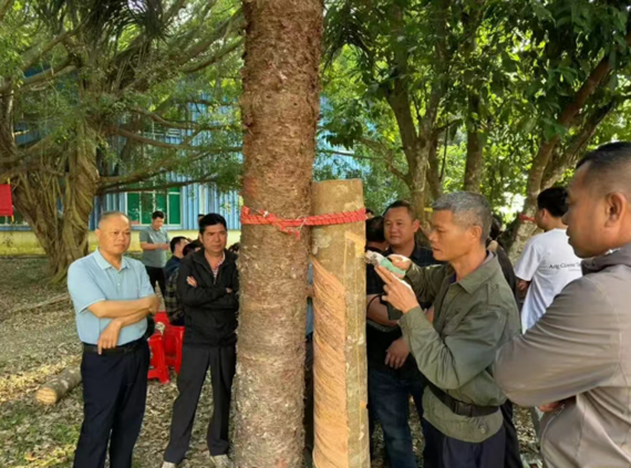 2025年海南省智能割胶装备培训班第一期在海南儋州开班(图5) 2025年海南省智能割胶装备培训班第一期在海南儋州开班(图5)