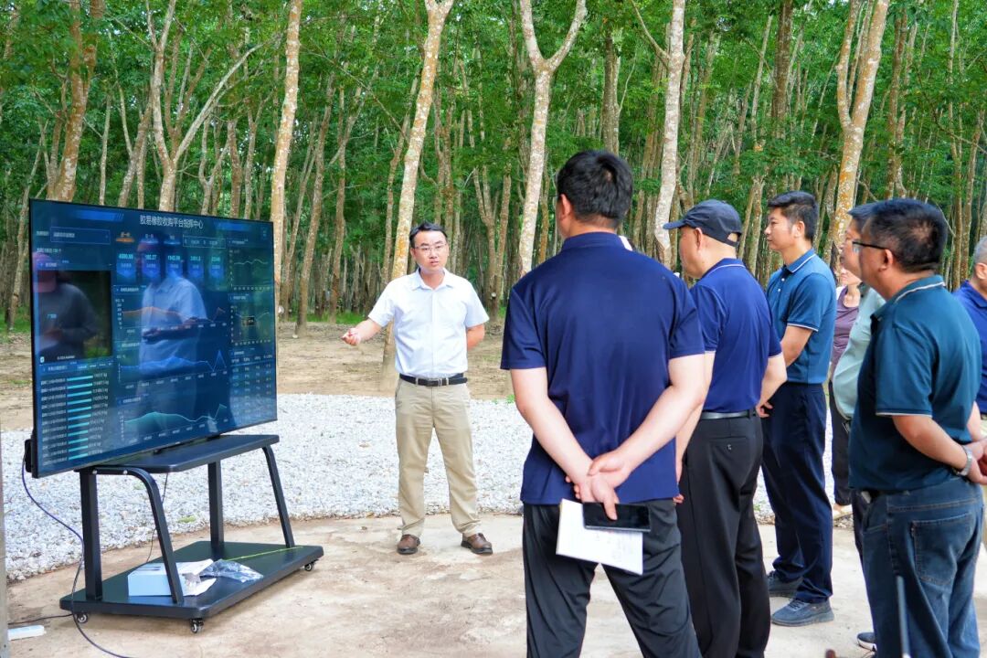 智慧收胶站+智能交易系统：数字技术如何为胶农“减负增收”，为胶企“提质增效”？(图7)