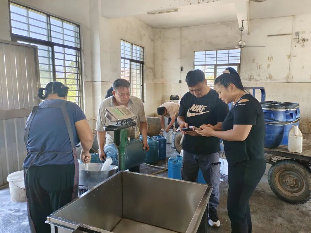 智慧收胶站+智能交易系统：数字技术如何为胶农“减负增收”，为胶企“提质增效”？(图1)