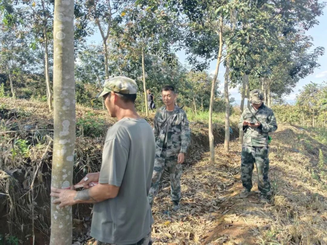 智慧收胶站+智能交易系统：数字技术如何为胶农“减负增收”，为胶企“提质增效”？(图4)