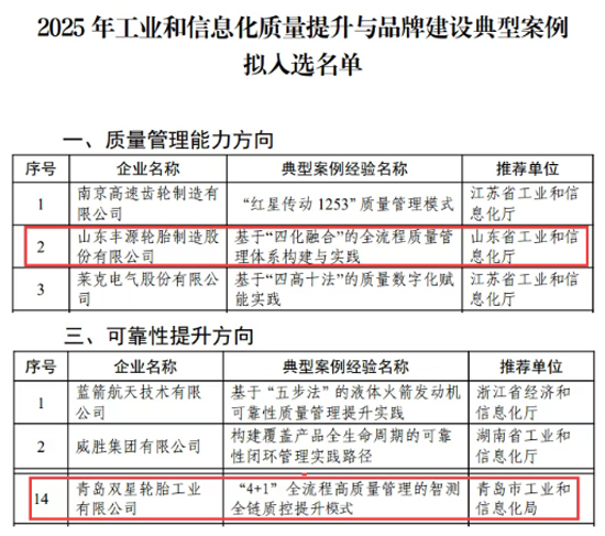 丰源、双星入围工信部典型案例名单(图2)