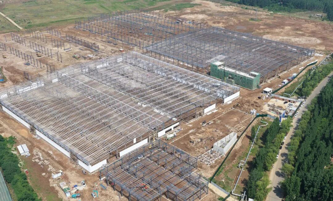 通益橡胶36亿元轮胎项目加速建设(图2)