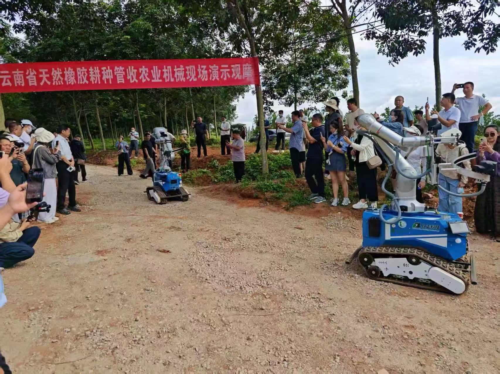 天然橡胶产业科技“十四五”回顾与“十五五”展望(图11)