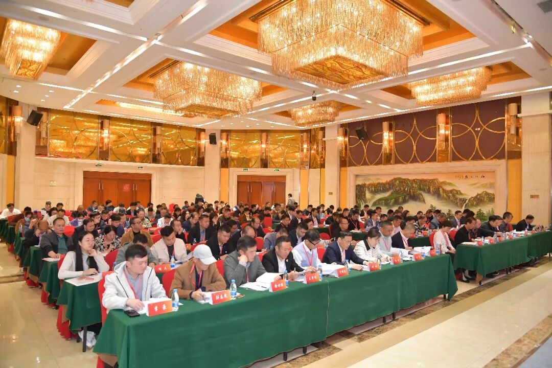 中国天然橡胶协会第四次会员代表大会在海南召开(图2)