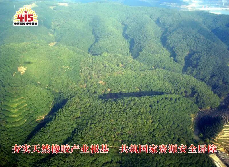 多措并举筑牢天然橡胶资源供给保障--我国天然橡胶产业高质量发展迈出坚实步伐(图1)