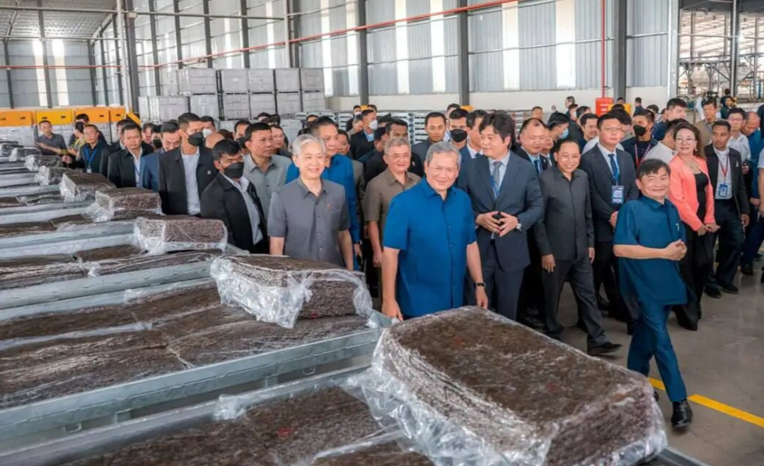 深耕东盟!美兰集团海外橡胶深加工新项目顺利投产(图2) 深耕东盟!美兰集团海外橡胶深加工新项目顺利投产(图2)