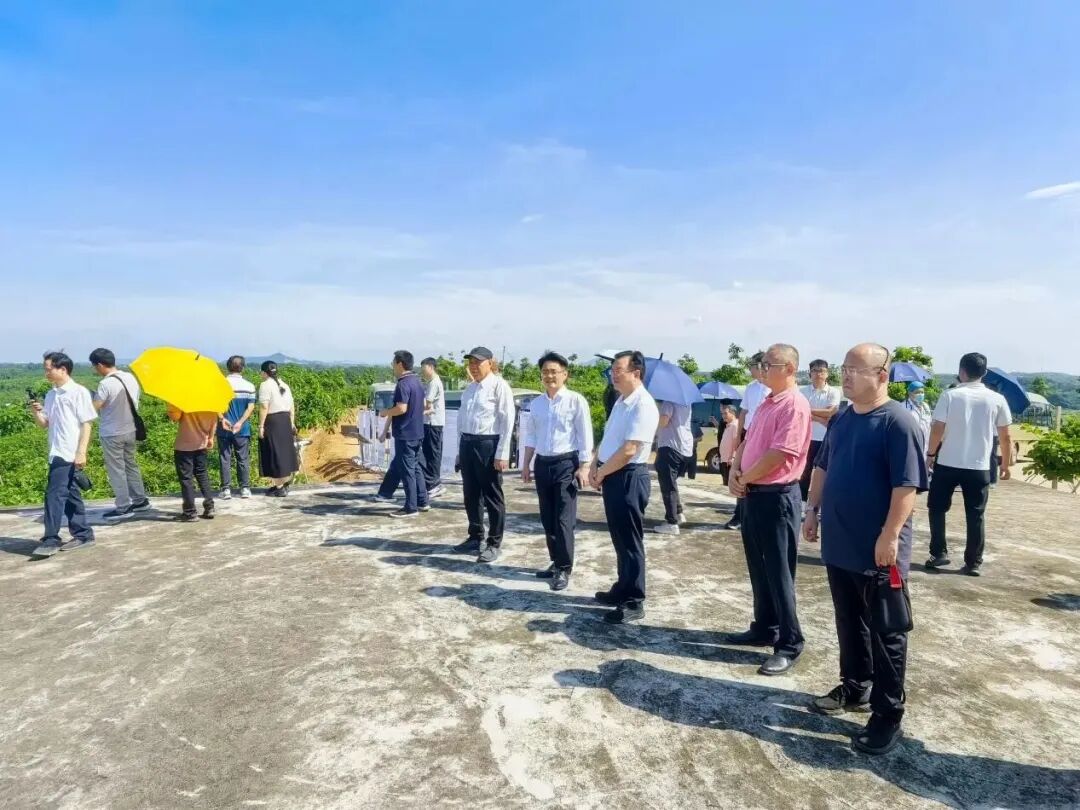 国家天然橡胶产业技术体系在茂名举办胶园林下经济技术推介暨现场观摩活动(图5)