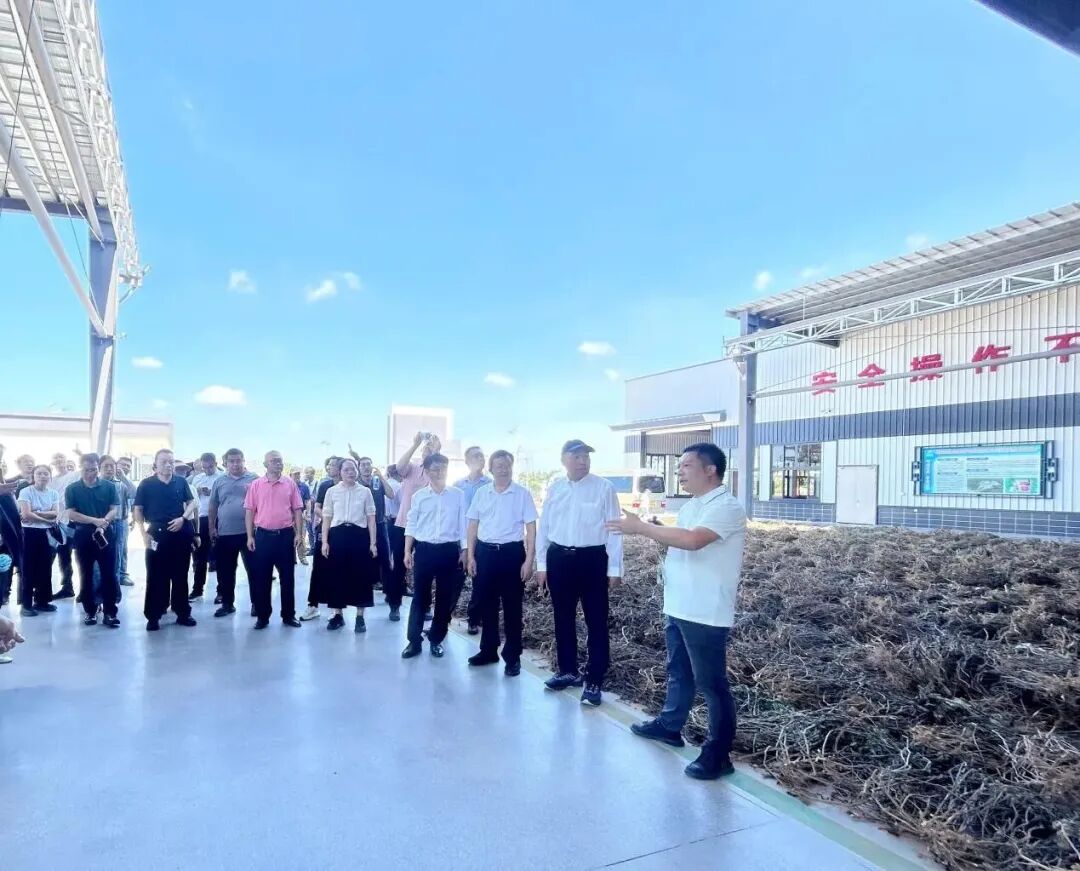 国家天然橡胶产业技术体系在茂名举办胶园林下经济技术推介暨现场观摩活动(图11)