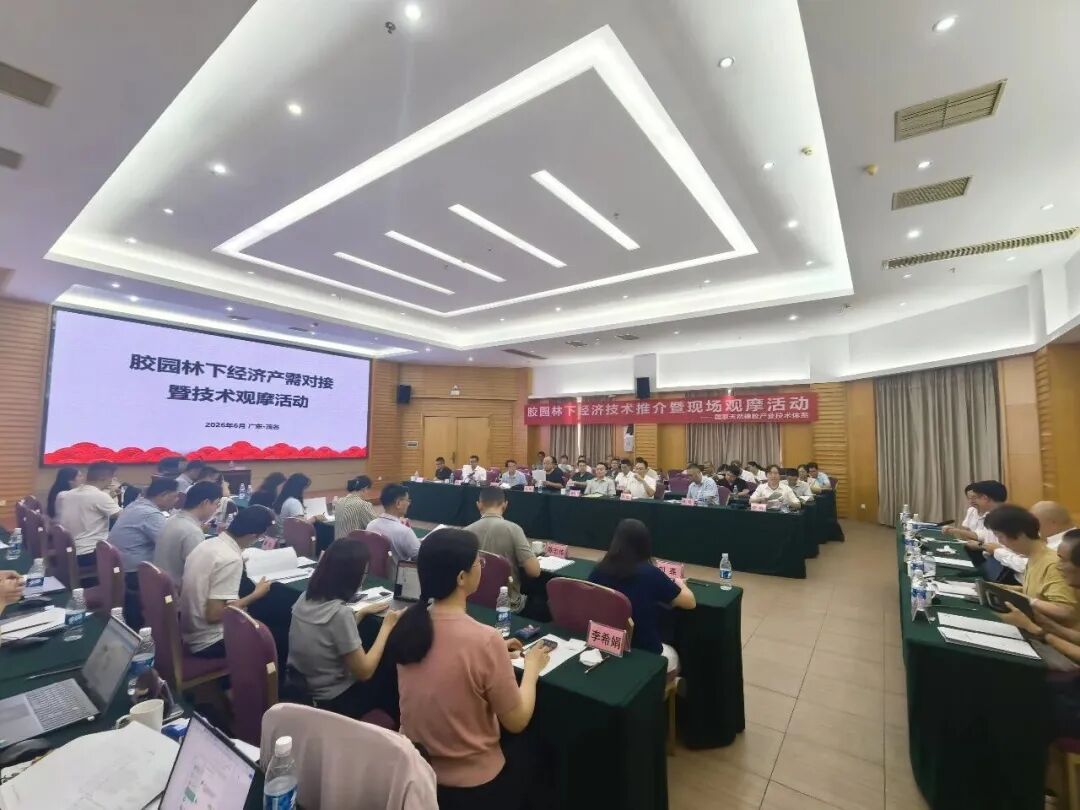 国家天然橡胶产业技术体系在茂名举办胶园林下经济技术推介暨现场观摩活动(图13)
