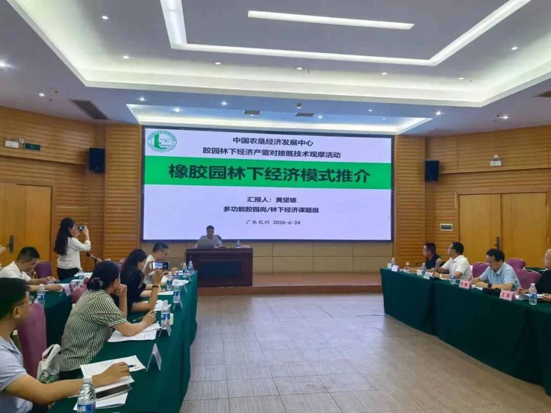 国家天然橡胶产业技术体系在茂名举办胶园林下经济技术推介暨现场观摩活动(图16)