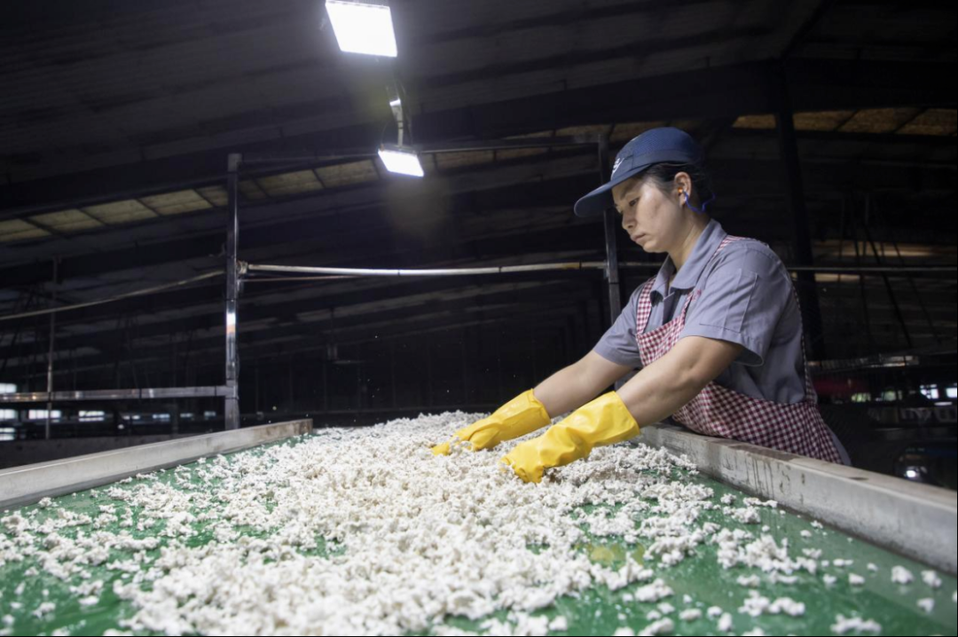 一家橡胶加工厂的“绿色变形记”(图2) 一家橡胶加工厂的“绿色变形记”(图2)