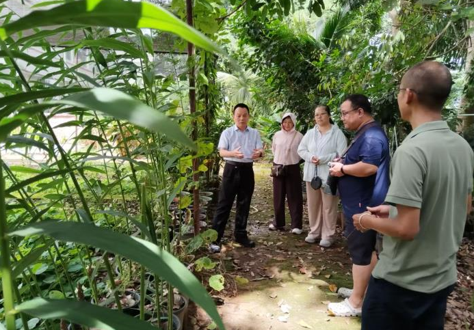 宣贯生态胶园建设标准 推介林下复合种植模式——天然橡胶产业专家团队赴滇五大植胶区开展科技服务(图2)