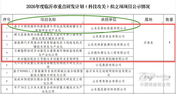 “黑马”逆袭！山东轮胎立项重点项目(图1)