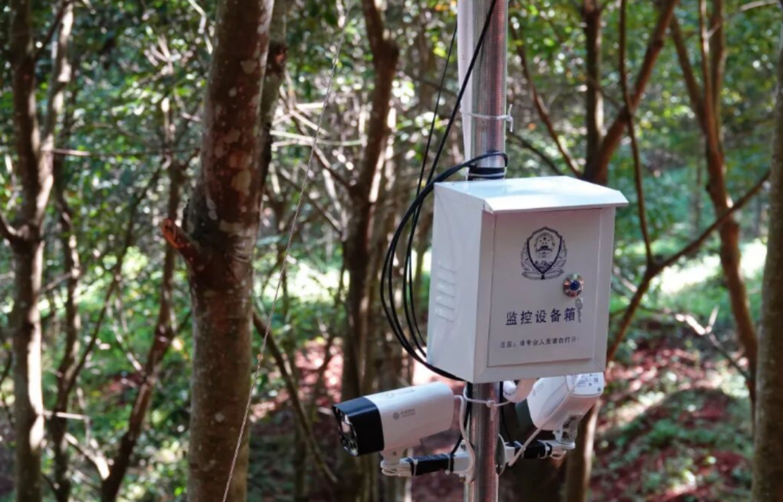 行业动态 | 西双版纳将开展首届智能割胶装备技术实测验证活动(图5)