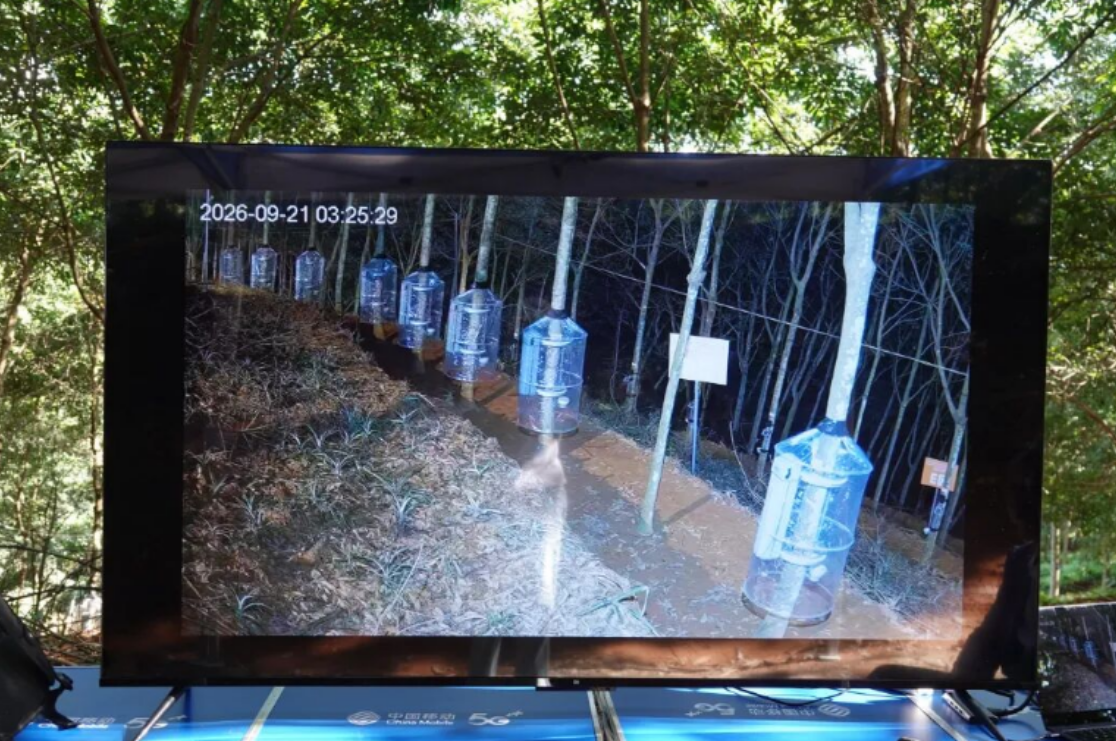 行业动态 | 西双版纳将开展首届智能割胶装备技术实测验证活动(图6)