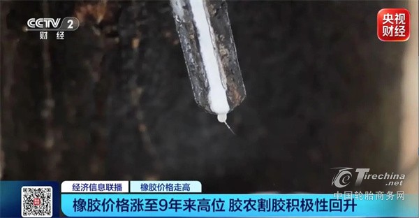 三大原料集体冲高，轮胎成本压力全面来袭(图1)