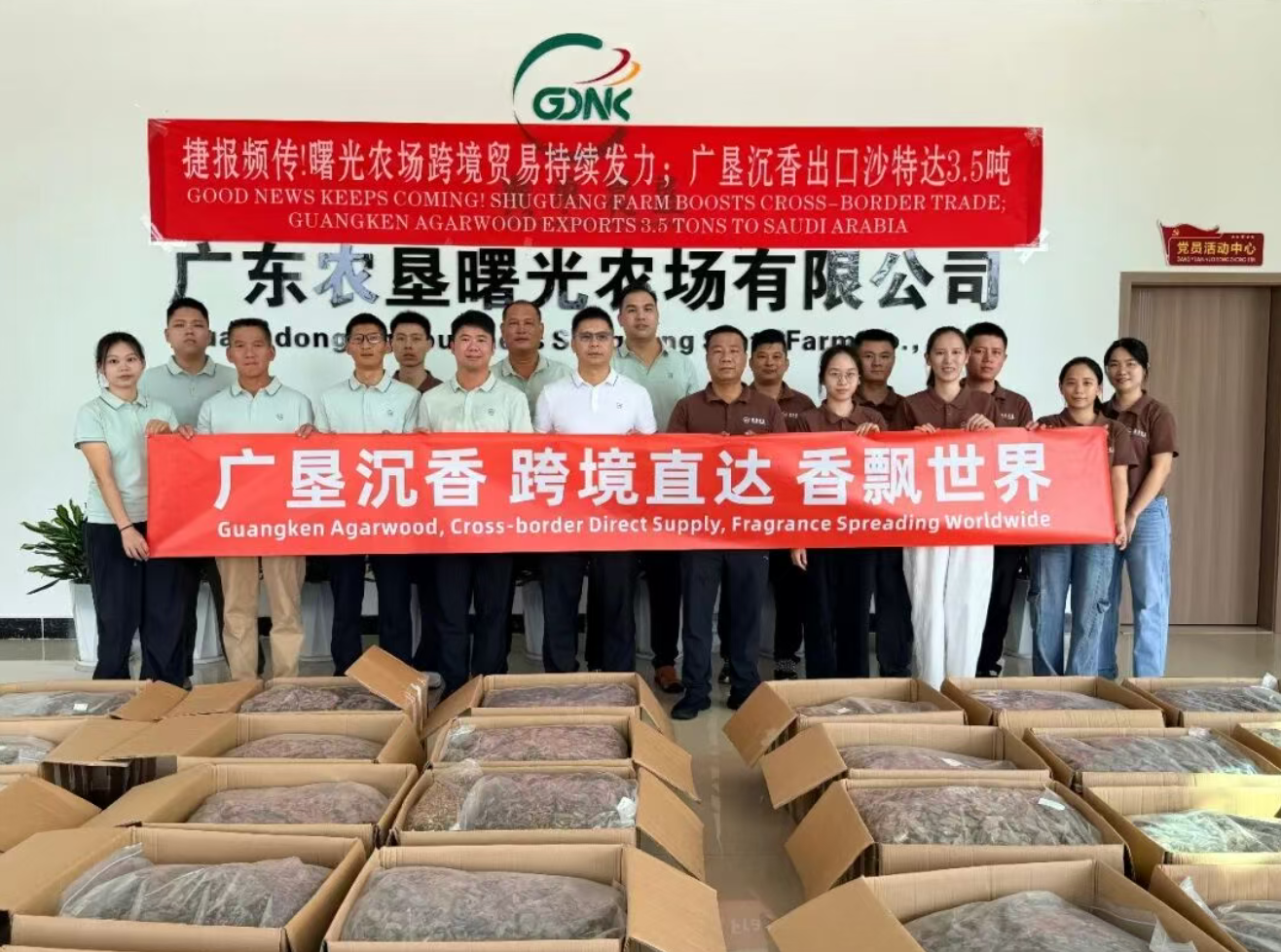 香飘世界！广垦沉香出口捷报频传(图1)
